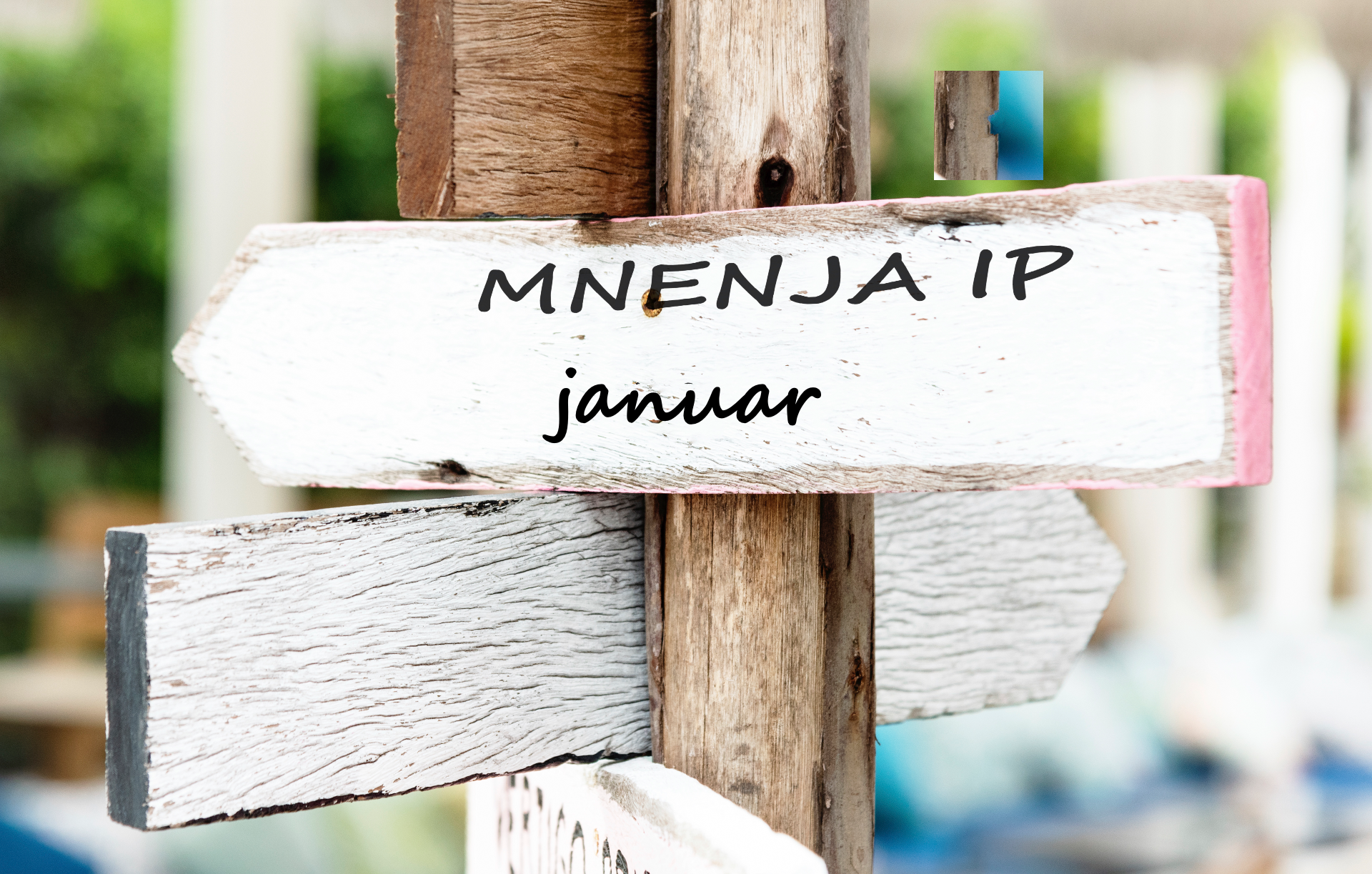Mnenja IP – januar 2026